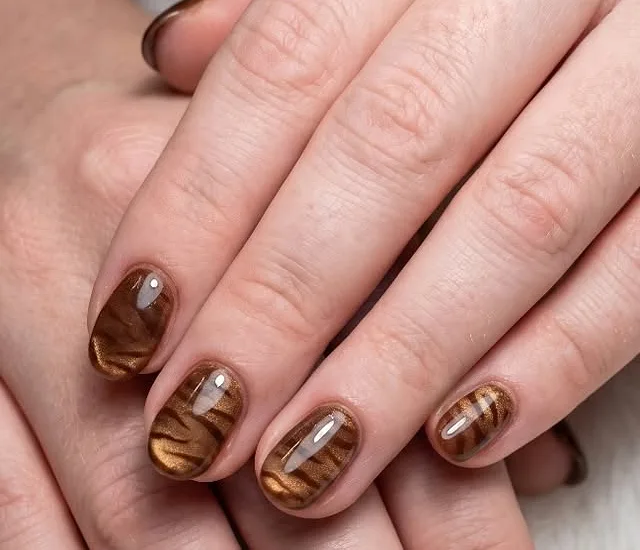 Chocolate cat eye nails with magnetic stripes